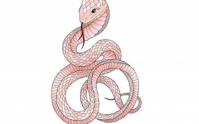 Astrología China: Características del signo Serpiente