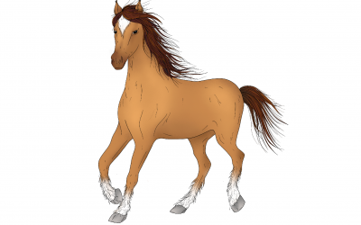 Astrología China: Características del signo Caballo