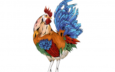 Astrología China: Características del signo Gallo