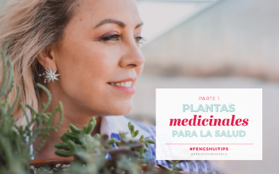 Plantas medicinales para la Salud.