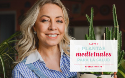 Plantas medicinales para la Salud II