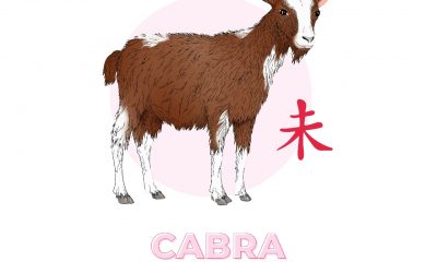 🐐Cabra, Rasgos & Características para hombre y mujer.🐐