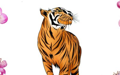  3 reglas que no debes ignorar este año Tigre de Agua Yang