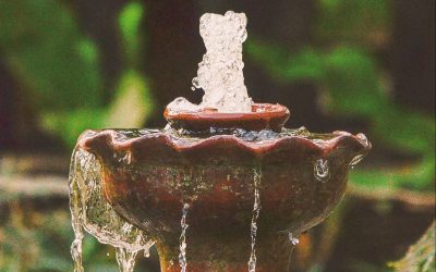 FengShuiTips: ¡Fuentes de Agua!