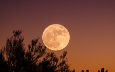 Rituales de Luna Llena 🌕