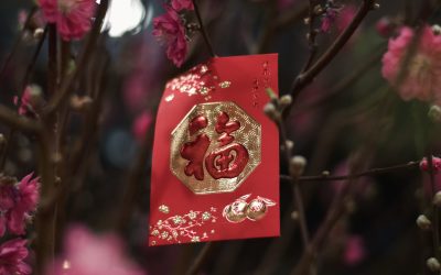 ¿Conoces la historia del Feng Shui?