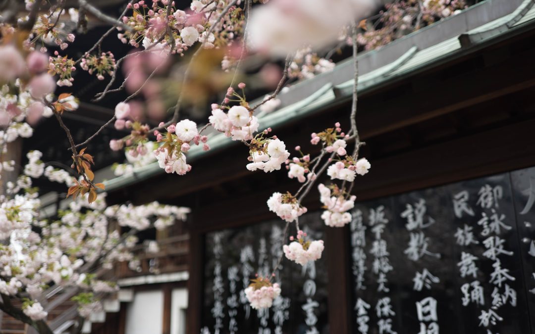 Astrología china: cuáles son los efectos a del equinoccio de primavera/otoño – MDZ MAGAZINE – EDICIÓN 22/9/22